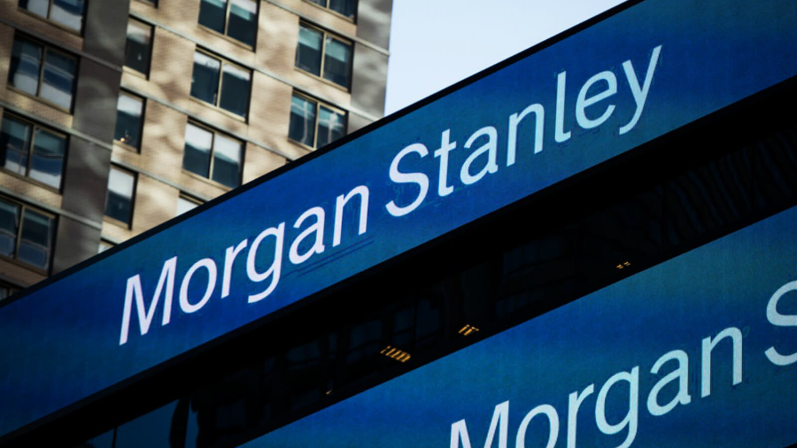 Morgan stanley report finds gender diverse boards win 1600x900